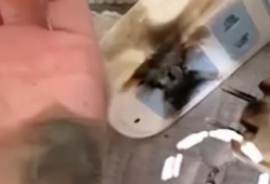 插出白浆视频,跟随视频学习传统工艺