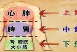 敲打三焦经视频,视频教程详解