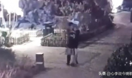 吃瓜爆料视频完整版,完整版事件始末深度解析