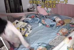 吃奶视频,吃奶视频里的温馨瞬间