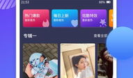 视频播放软件下载,下载与体验之旅