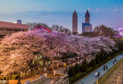 吃瓜爆料抖音网红大川