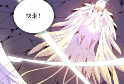 羽翼漫画,探寻奇幻世界的翅膀之谜
