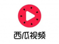 吃瓜大队爆料西瓜视频搜索,西瓜视频搜索背后的秘密