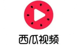 吃瓜大队爆料西瓜视频搜索,西瓜视频搜索背后的秘密