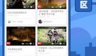 5x视频在线观看,在线观看新体验