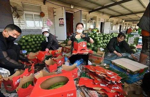 广西吃瓜群众爆料梧州事件,吃瓜群众视角下的真相揭秘