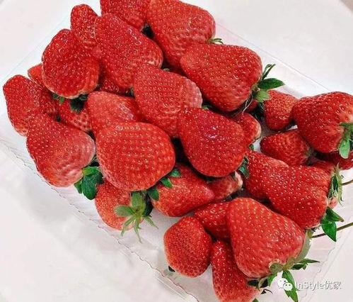 小草莓吃瓜爆料是真的吗,真相揭秘，是真是假？